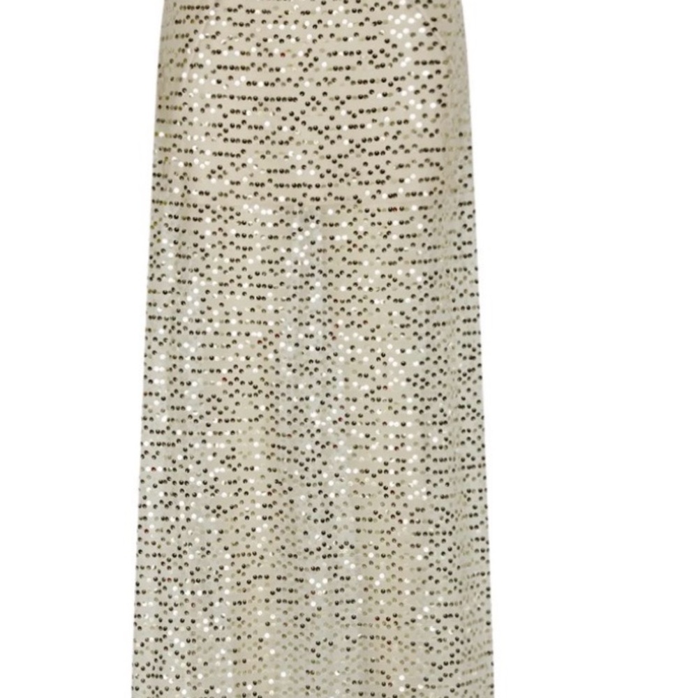 Elegant Sequin Maxi Skirt with mini slip